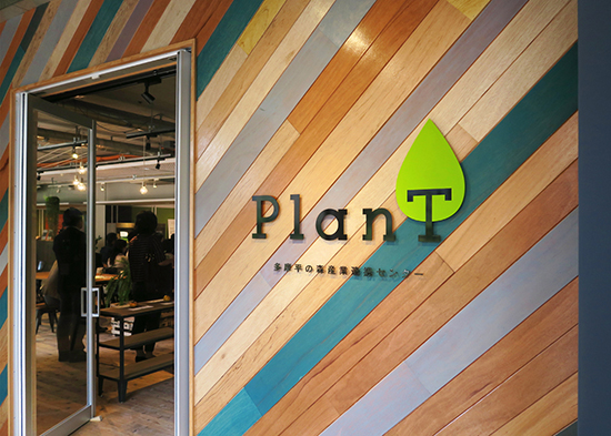 plant_02b