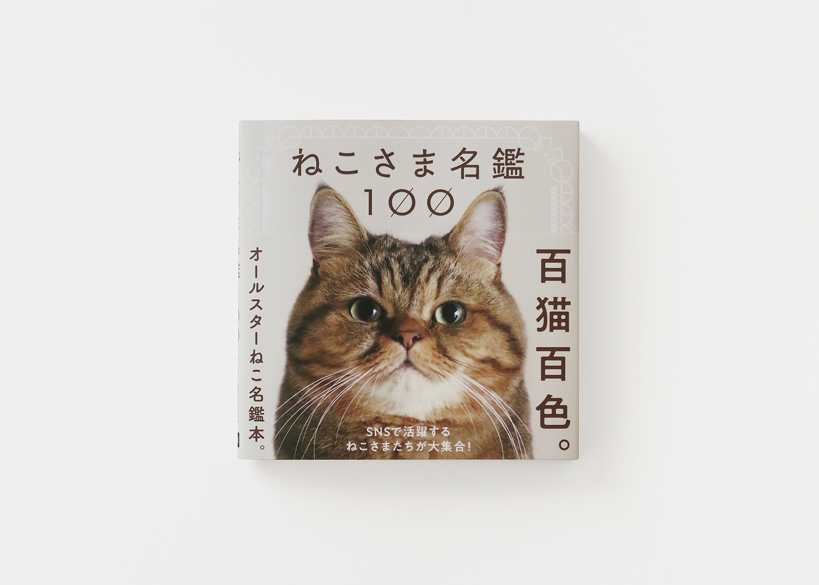 ねこさま名鑑100 | coton design